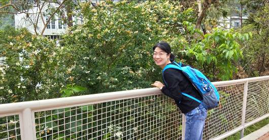 undefined undefined